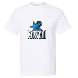 T-SHIRT ETOILE BLEU BLANC